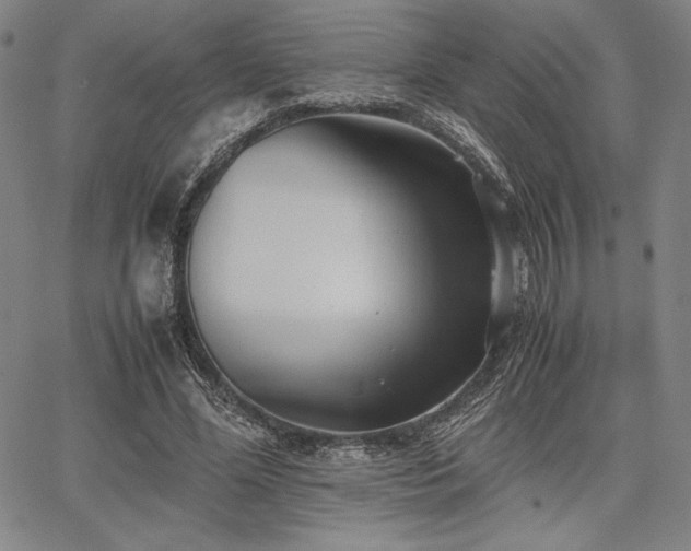 X0000067830588200604131203