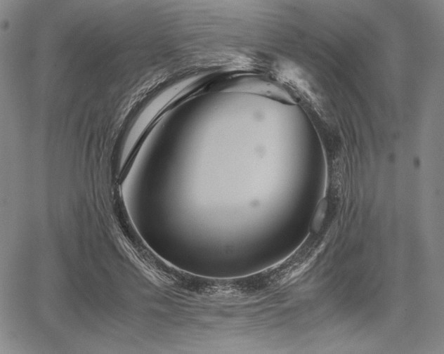 X0000067830589200604131203