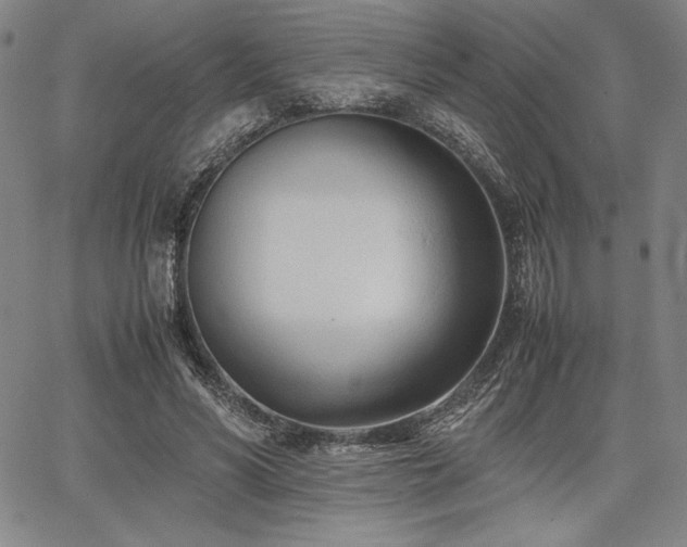 X0000067830590200604131203