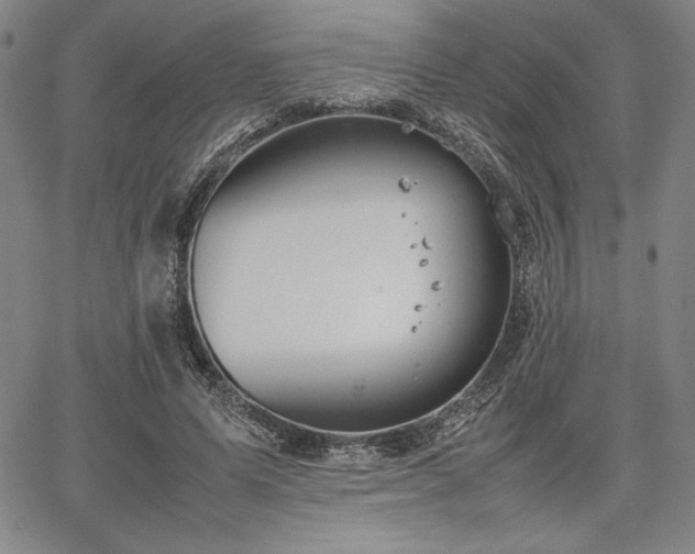 X0000067830591200604131203