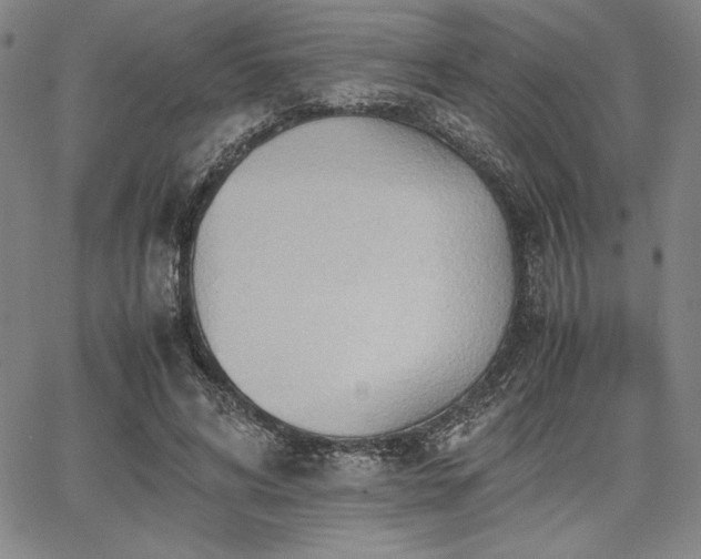 X0000067830592200604131203