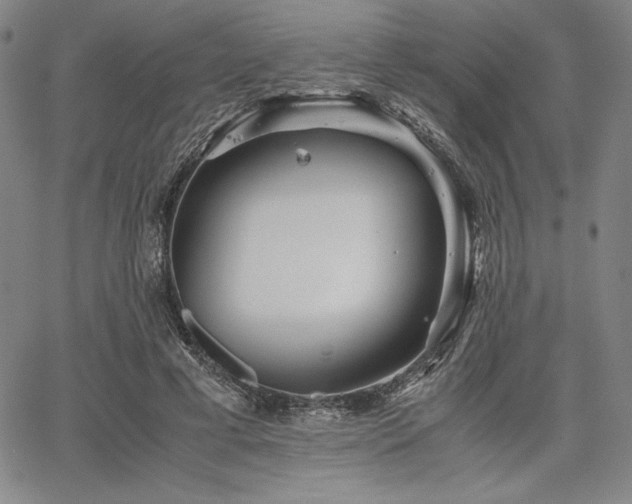 X0000067830593200604131203