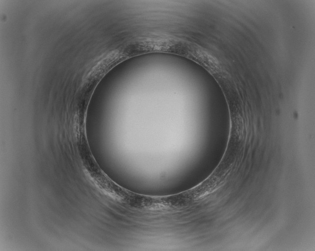 X0000067830594200604131203