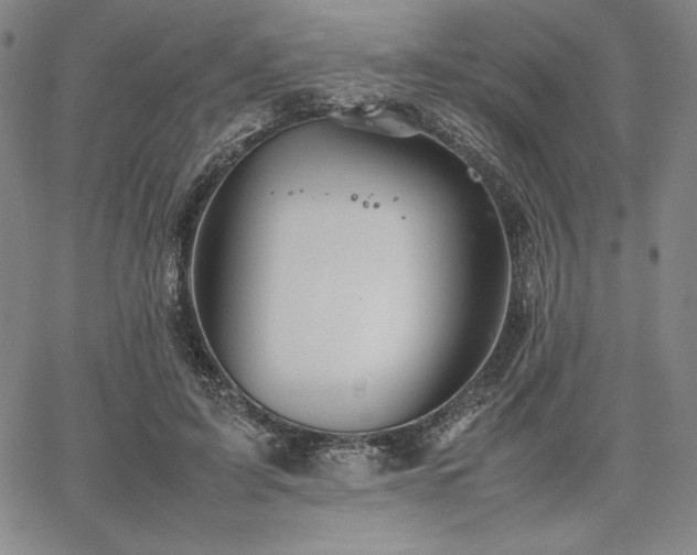 X0000067830595200604131203