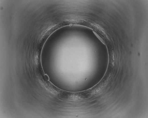 X0000067830596200604131203