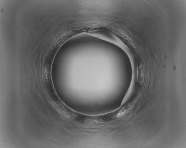 X0000067830597200604131203