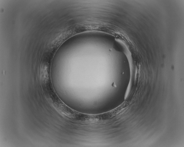 X0000067830598200604131203