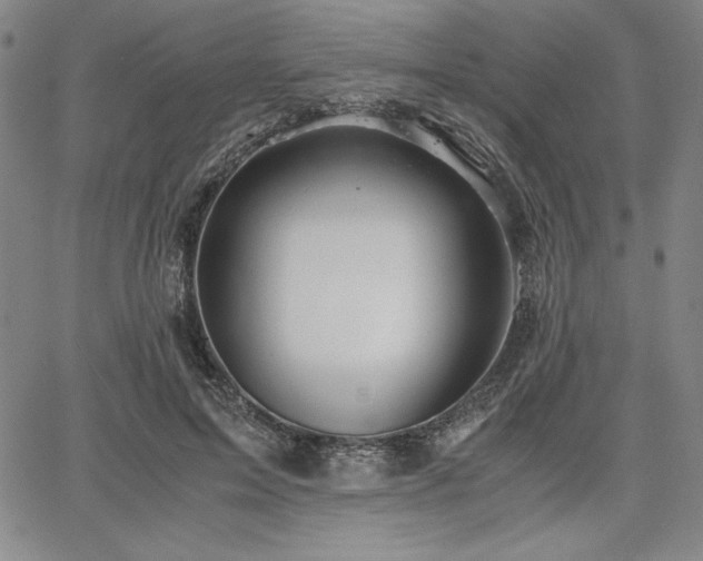 X0000067830599200604131203