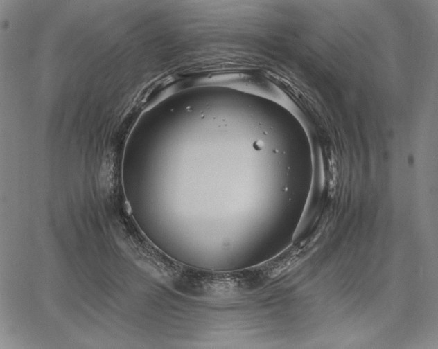 X0000067830600200604131203