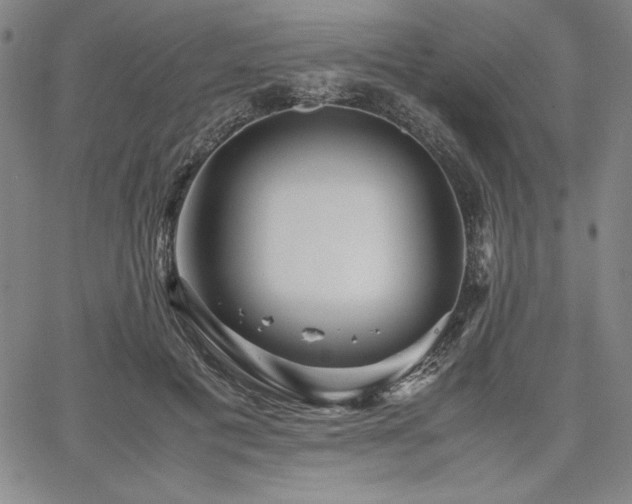 X0000067830601200604131203