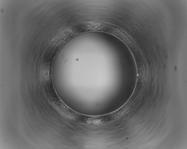 X0000067830602200604131203