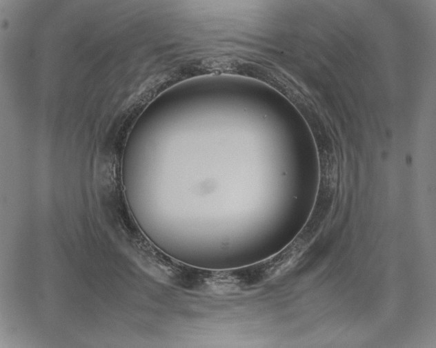 X0000067830603200604131203