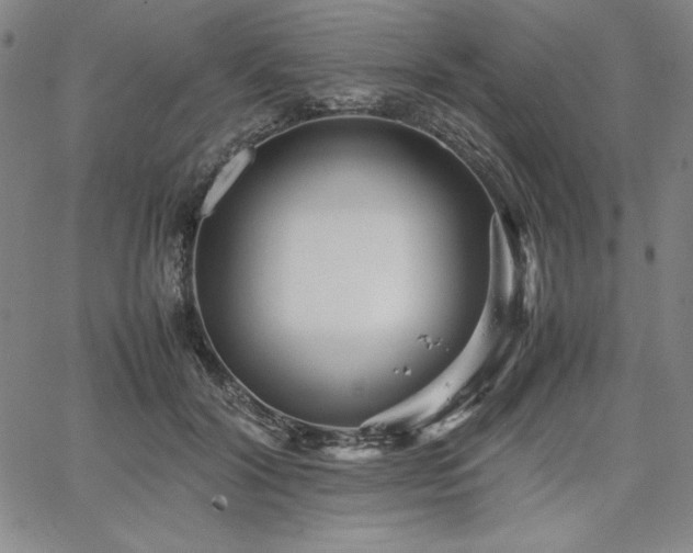 X0000067830604200604131203