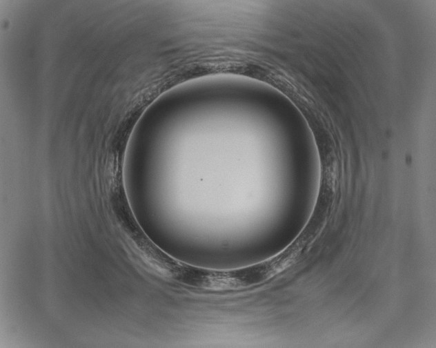 X0000067830605200604131203