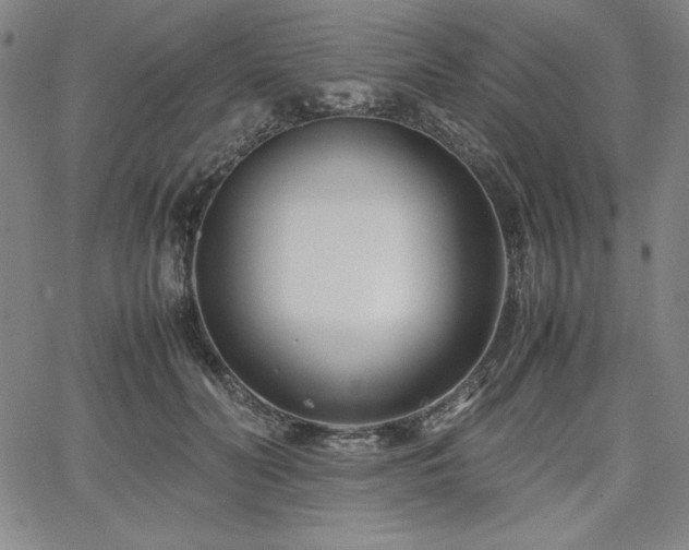 X0000067830606200604131203