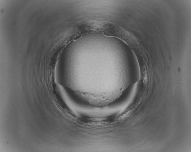 X0000067830607200604131203