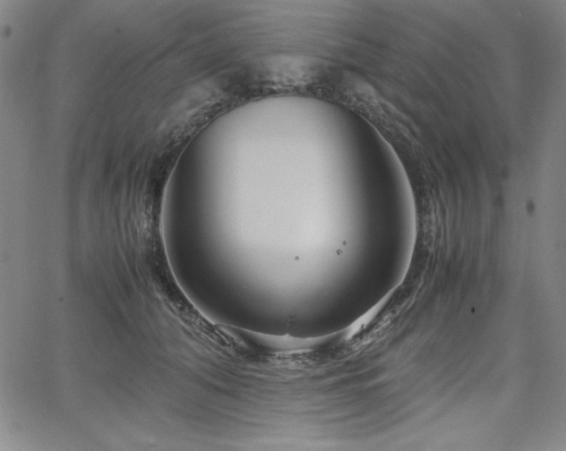 X0000067830608200604131203