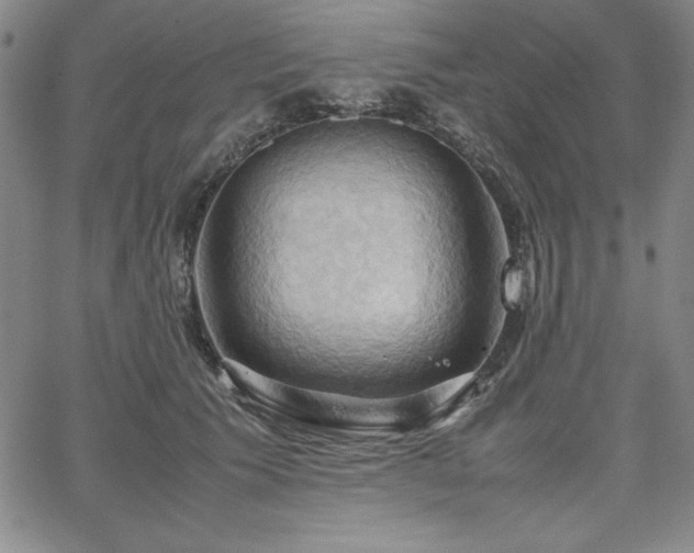 X0000067830609200604131203