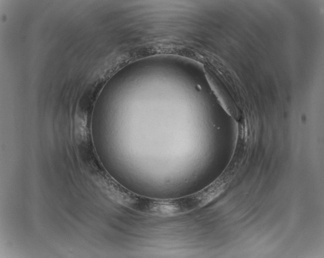 X0000067830610200604131202