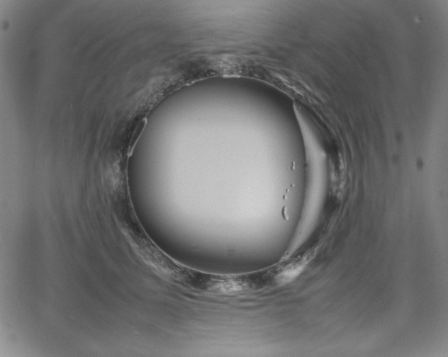 X0000067830611200604131202