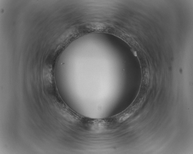 X0000067830612200604131202