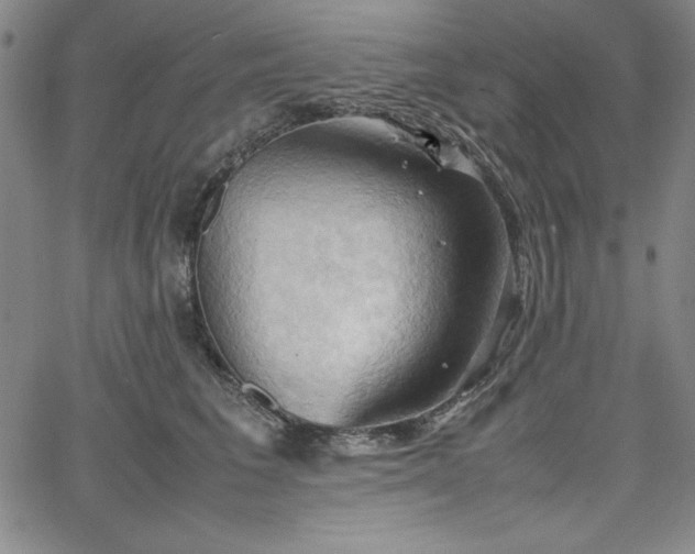 X0000067830613200604131202