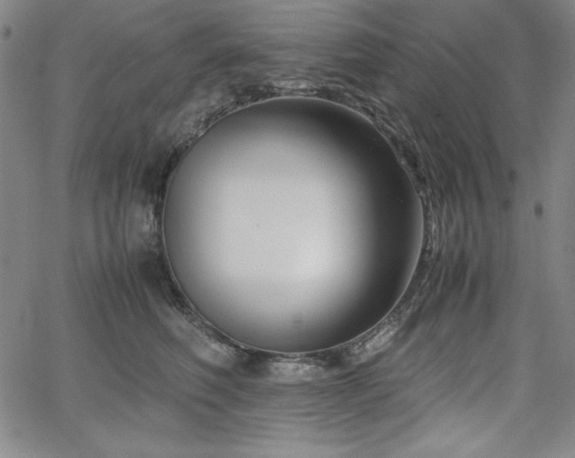 X0000067830614200604131202