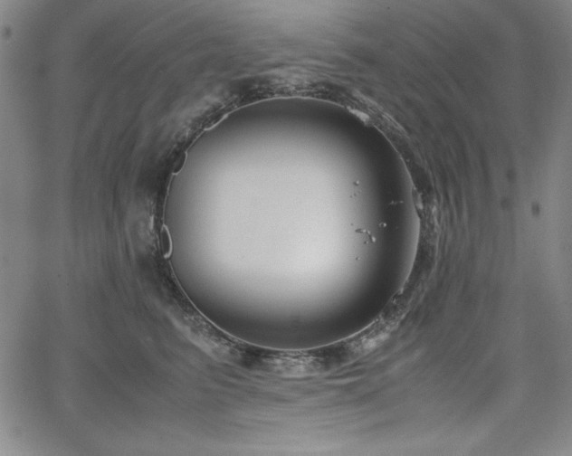 X0000067830615200604131202