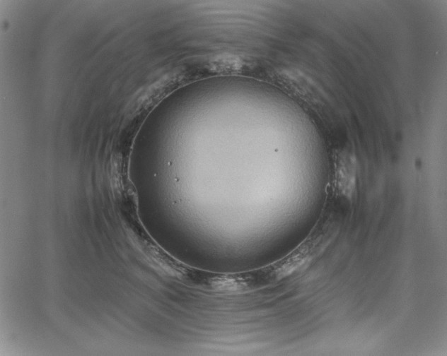 X0000067830616200604131202