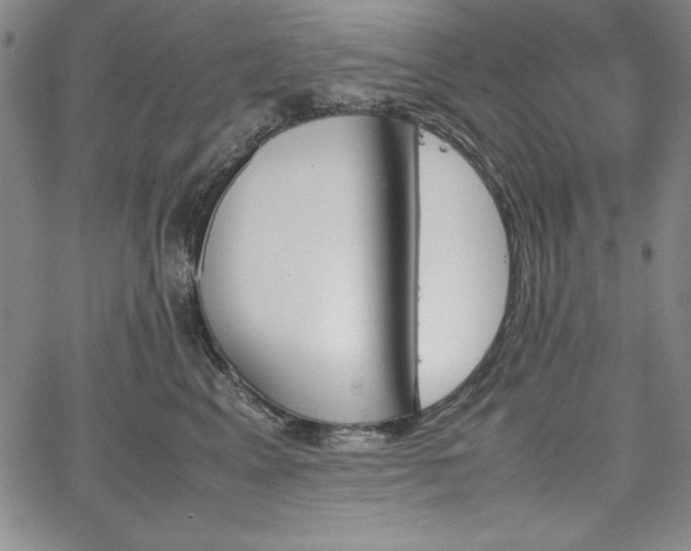 X0000067830617200604131202