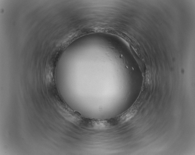 X0000067830618200604131202