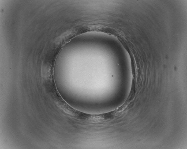 X0000067830619200604131202