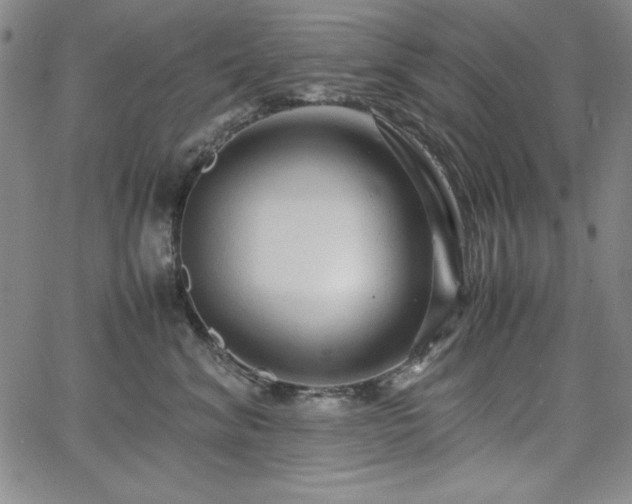 X0000067830620200604131202