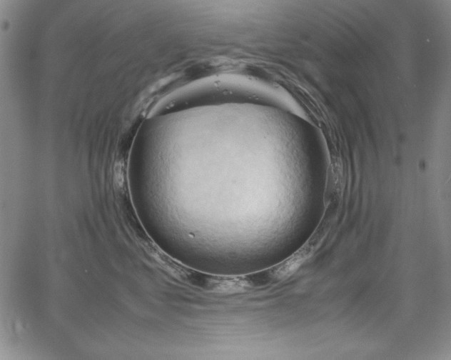 X0000067830621200604131202