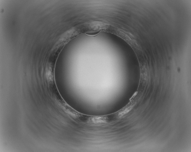 X0000067830622200604131202