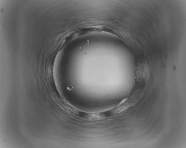 X0000067830623200604131202