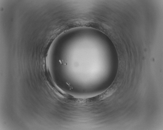 X0000067830624200604131202