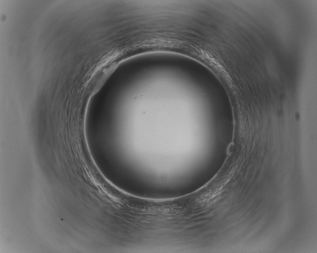 X0000067830625200604131201