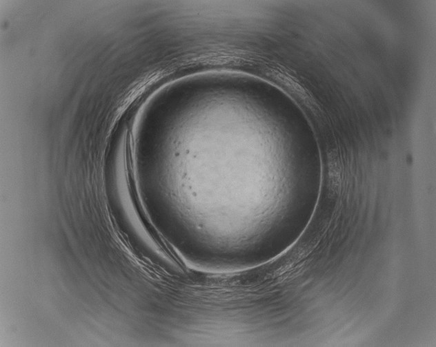 X0000067830626200604131202