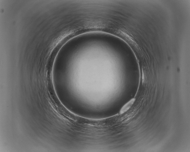 X0000067830627200604131202