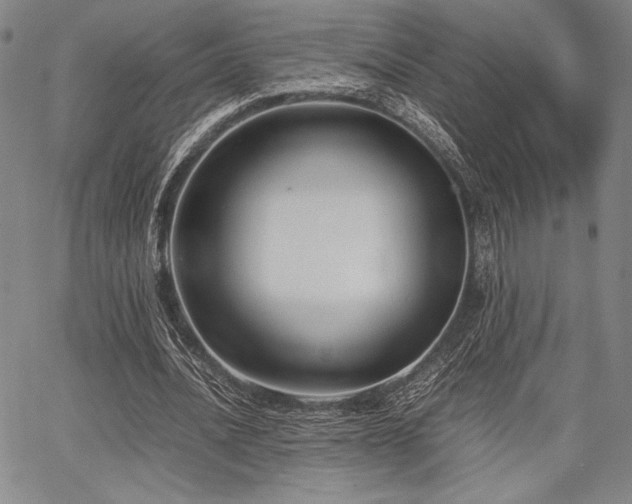 X0000067830628200604131202