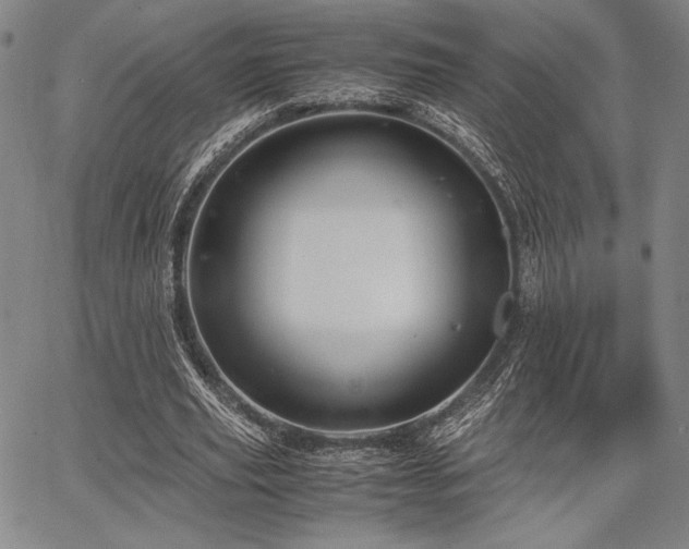 X0000067830629200604131202