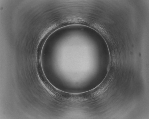 X0000067830630200604131202