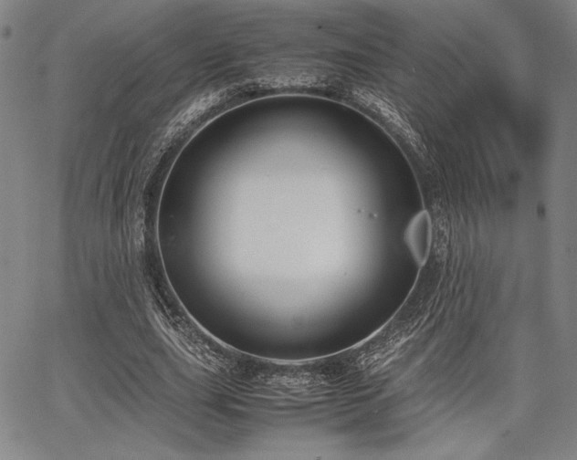 X0000067830631200604131202