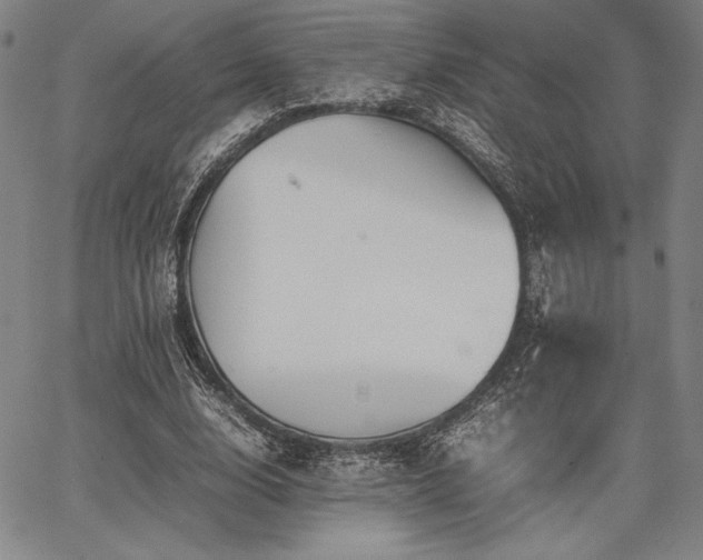 X0000067830632200604131202