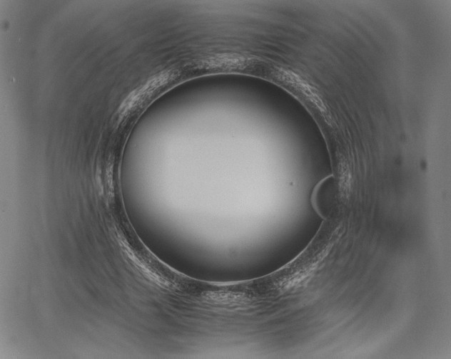 X0000067830633200604131202