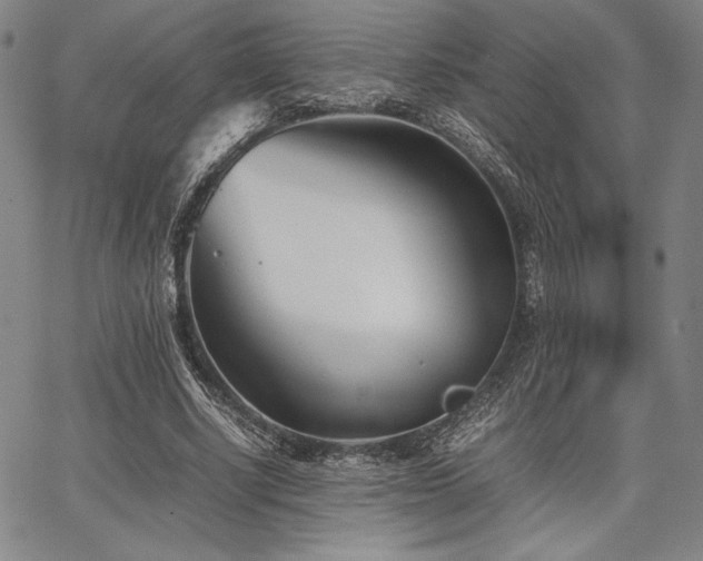 X0000067830634200604131202