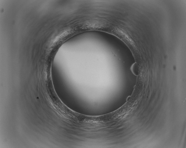 X0000067830635200604131202