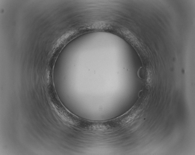 X0000067830636200604131202