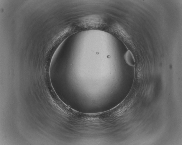 X0000067830637200604131202